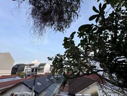 Opera Estate (D15), Terrace #547222941